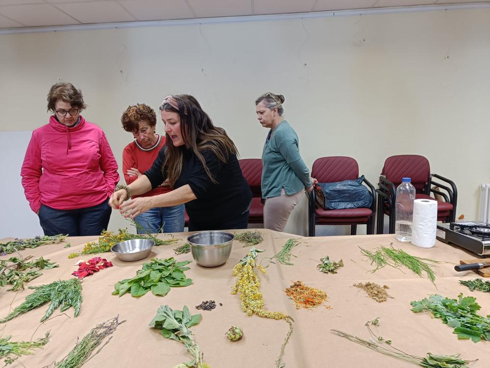 Imagen Ansó realiza un taller de plantas y elaboración de Pomada Sanjuanera