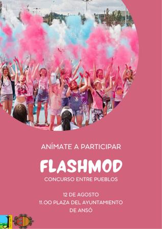 Imagen Flashmob en Ansó