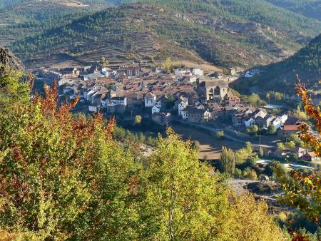 Imagen Pleno ordinario de la Mancomunidad Forestal de Ansó