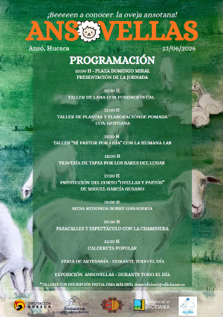 Imagen Jornada ANSOVELLAS