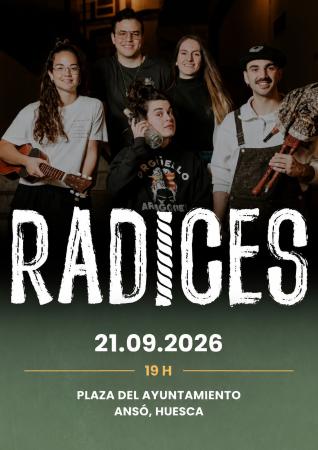 Imagen Actuación del Grupo Radices